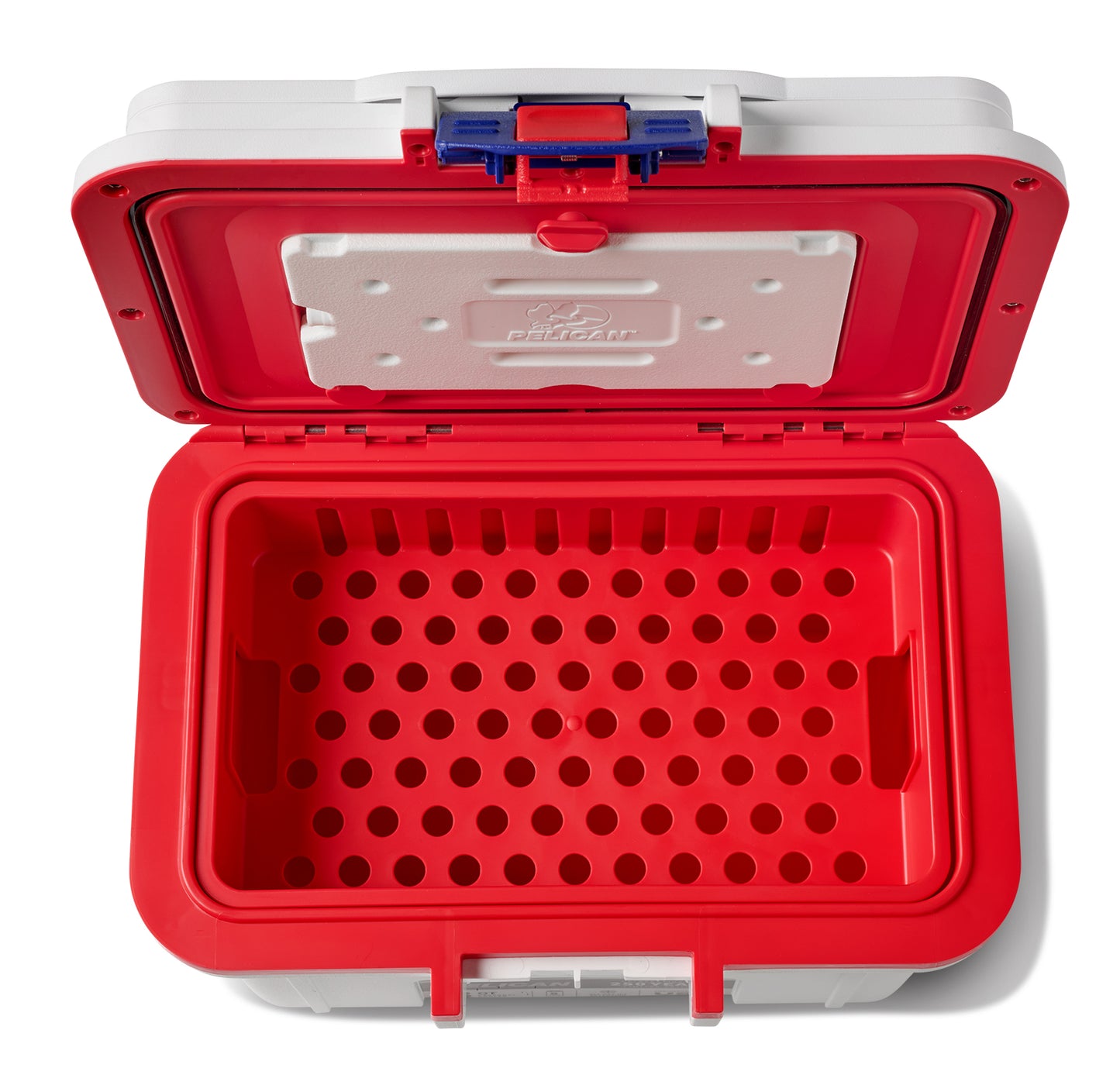 【限定】8QT パーソナルクーラー アメリカ250コレクション